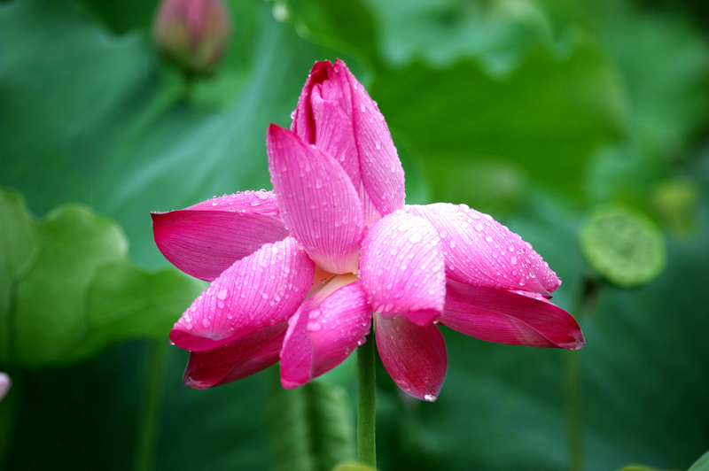 IMGP3267_.jpg
