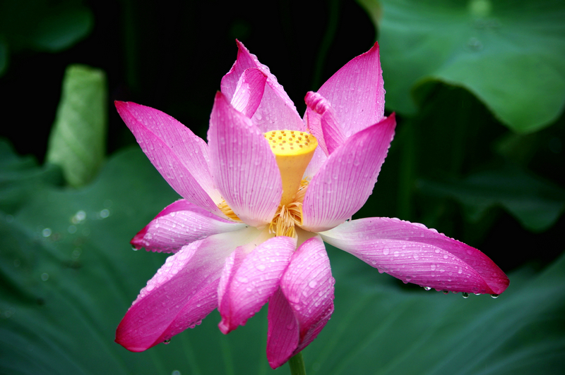 IMGP3272_.jpg