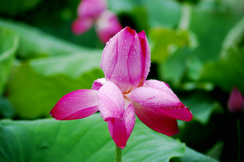 IMGP3275_.jpg