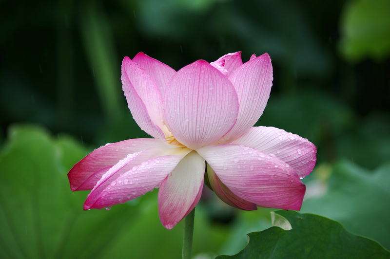 IMGP3305_.jpg