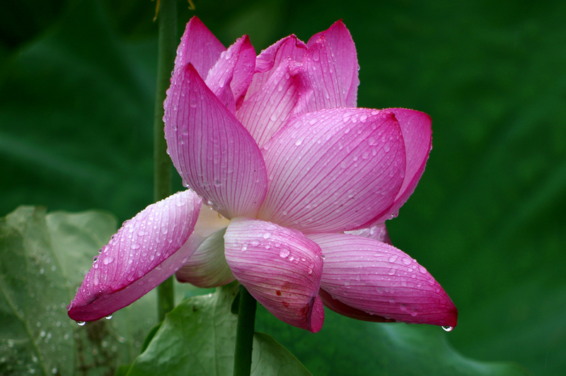 IMGP3307_.jpg