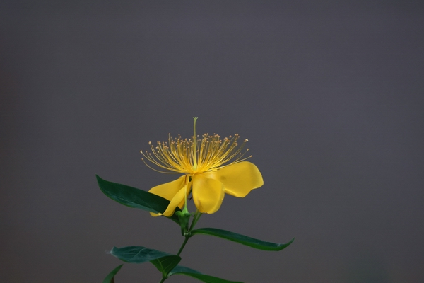 2S7A6037.jpg