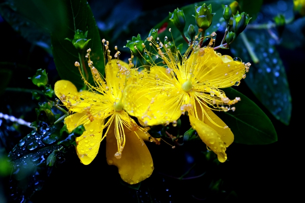 2S7A4305.jpg