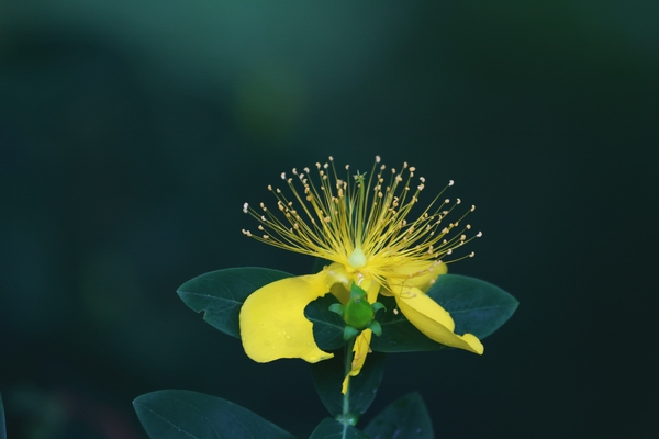 2S7A4308.jpg