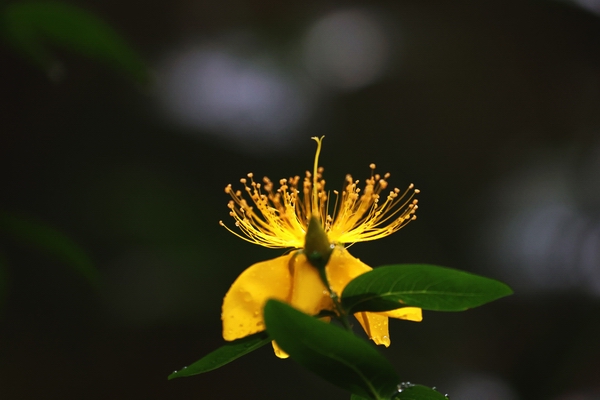 2S7A4333.jpg