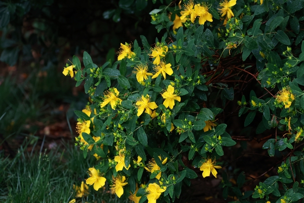 2S7A4396.jpg