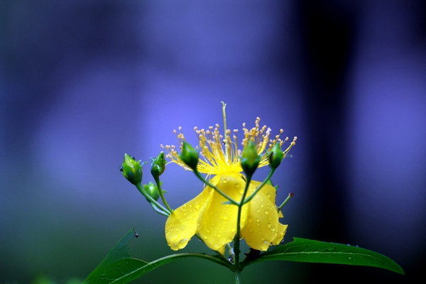2S7A4342.jpg