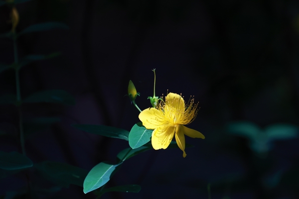 2S7A4949.jpg